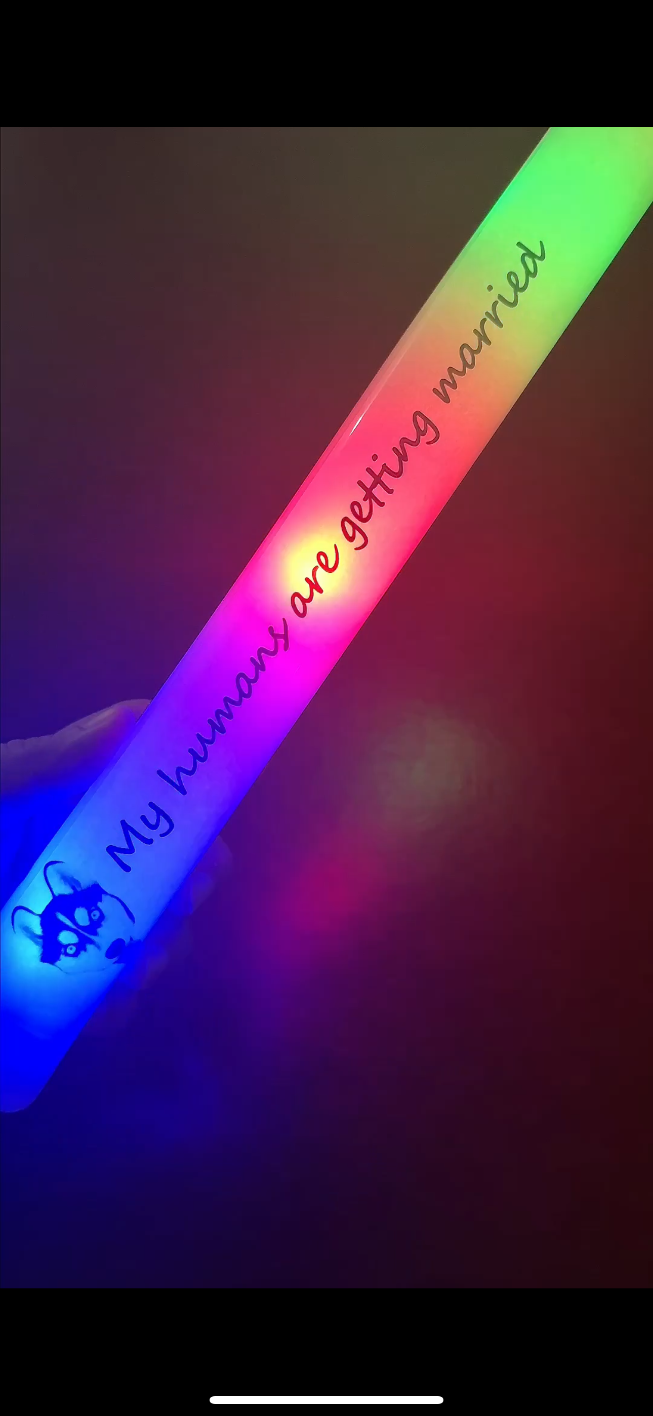 Pet Photo Glowsticks